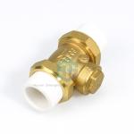 Vertical PPR Double Union Non Return Valve for Water Meter Free Sample