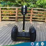 Self Balance 2 Wheel Electric Scooter 2000watts Off Road Segway Scooters For