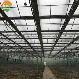 Wholesale Greenhouse Multi Span Agriculture Polycarbonate Greenhouse for Optimal Air Flow from china suppliers