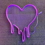 12W Wall Mounted LED Neon Signs Customizable