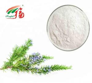 China 90% - 98% Rosmarinic Acid Powder / Rosemary Antioxidant Extract For Pharmaceutical on sale