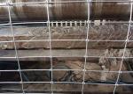 Corrosion Resistance Super Knot Horse Mesh Fencing With Excellent Weather