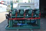 -25 Degree Commercial Blast Freezer Cold Storage With Customized Room Size