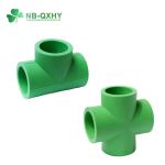 Hot Water Green Pipe Fittings QX PPR Equal Cross Tee 20mm to 110mm for Your