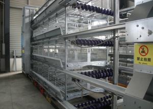Wholesale Poultry Farming Chicken Battery Cages Health Wire Poultry Cages Low Noise from china suppliers
