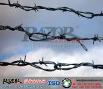 Cattle Barbed Wire Fence