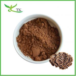 China Pure Natural Coriolus Versicolor Powder Turkey Tail Mushroom Powder Capsules Supplement on sale