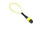 Male Female Fiber Optic Loopback SM MM OM3 OM4 OM5 MPO Loopback