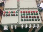 BXK Explosion-proof Fan Control Box Customized