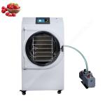 Lyophilizer Freeze Dryer Machine Meat Freeze Dry Machine For Milk Vegetables
