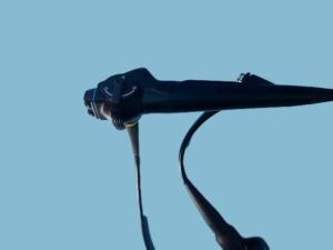 Wholesale BF-P160 Bronchoscope 120 Deg Field Of View Flexible Scope For Comprehensive Examination from china suppliers