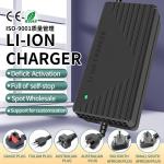 Input Voltage AC100-240V 50/60Hz 12V 24V 36V 48V 25.2V 4.5A 5A Universal Lithium