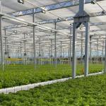 High Wind Load Glass Covered Greenhouse with US Currency and Estimated Delivery