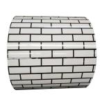 Pre-painted Galvanized Steel Coil in RALColor for Container Making PPGI Coils at