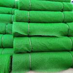 Chinese Design Style Erosion Control Mat 3D Geomat Black Plastic Geomat from