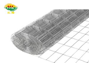 Wholesale 50X50mm Mesh Galvanized Construction Welded Wire Mesh Rolls 19Gauge from china suppliers