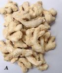 Dehydrated Dried Ginger