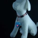 heart shape led pet in tag