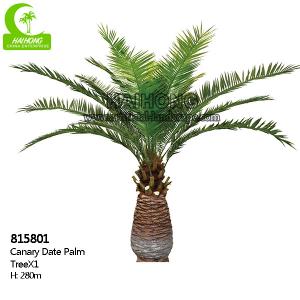 Wholesale Aesthetic Height 280cm Artificial Tropical Tree For Office Decoration from china suppliers