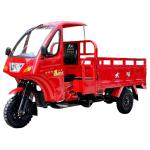 s 250cc DAYANG Q3-3 Semi Closed Cab Cabin Motorized Tricycle Three Wheel
