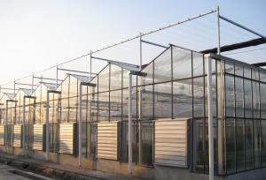 Wholesale Modernization Intelligent Greenhouse with Multi-Function from china suppliers