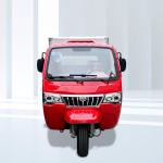 Max Red Body DAYANG 800cc Water Engine Three Wheel Cargo Tricycle Power Battery