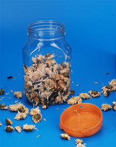 Wholesale Empty Plastic Food Storage Can , Lightweight Clear Plastic Kitchen Canisters 490Ml from china suppliers