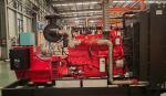 300kw 375kVA 3 phase Biogas LPG Natural Gas Generator Set with Weichai Deutz
