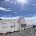 10x50m Polytunnel Berry Poly High Tunnel Greenhouse Film Tunnel Greenhouse Kit