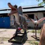 Exhibitions Realistic Animatronic Dinosaur 6m Spinosaurus Model