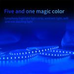 Waterproof SMD 5050 LED Strip Light Low Voltage LED Flexible Light Strip