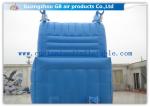 Sea Style Dolphin Inflatable Water Slides , Outdoor Inflatable Water Park With