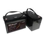 Water Dust Resistance IP55 25.6V LiFePO4 Battery with 4000-6000 Cycles CE/RoHS