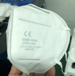 Dustproof And Breathable FFP3 Face Mask Non-Woven Facial Respirator Anti-Dust