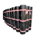 Plastic modified asphalt waterproofing membrane (APP)