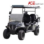 Lithium Battery Electrical Golf Cart Customized Sightseeing Tourist Car