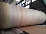 Aramid Edge Corrugator Belt High Durability For BHS , FOSBER , MARQUIP