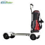 10.5 Inch 4 Wheel Skateboard 1000W Brushless Motor With Removable Golf Handle
