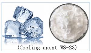 Wholesale Wholesale Cooling Agent WS23 in bulk for food use Cooling Flavour Koolada WS23 from china suppliers