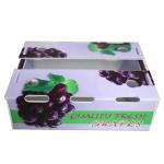 Correx 10mm Plastic Archive Boxes Carton Coroplast Environmental Friendly