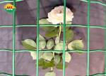 Green Pvc Coated Welded Wire Mesh Fence RAL6005 50.8x50.8mm Mesh Opening