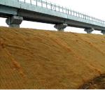 Geocomposite Vegetation Coconut Fiber Mat Reinforced By Nonwoven And Geogrid