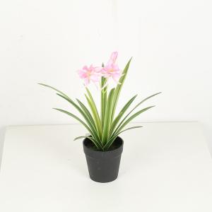 Wholesale Artificial Chlorophytum Comosum Fake Bonsai Tree With Flower 28 CM 38 CM 48 CM from china suppliers