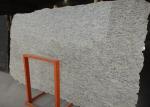 Solid Surfac Large Granite Countertops Tiles , Honed Indoor Granite Hearth Slabs