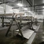 2024 factory direct sale 1000-10000BPH chicken slaughter line chicken abattoir