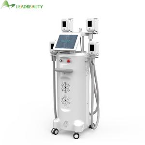 Wholesale Newest 360 degree 4 handles face body lipo sculpting solution cryolipolysis slimming machine from china suppliers