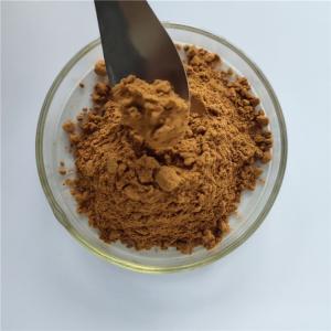 Wholesale wholesale nutrition supplement celery seed extract with best price from china suppliers