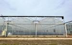 Flower Multi-tunnel Po Film Multi-span Greenhouse With Modern Automatic Control