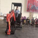 Sunroof Mini Hydraulic Excavator Rubber Tire 3 Tone Digger ISO Certifie