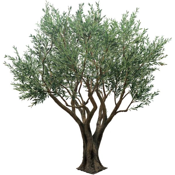 Custom Large Artificial Olive Tree 3-8m | Commercial Grade Faux Olive Plant